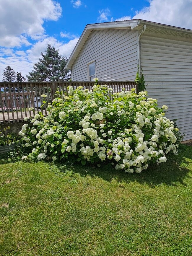 Building Photo - 100 Kuhns Ln