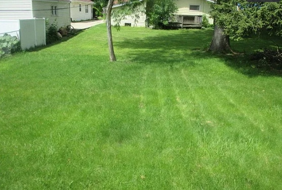 Back Yard - 1907 W Pearl Ave