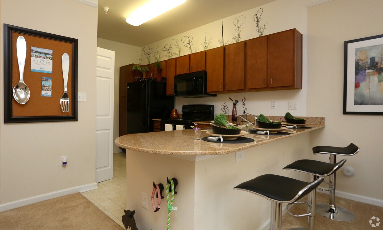 1200 Acqua Luxury Lifestyle Apartments Petersburg Va Apartment Finder