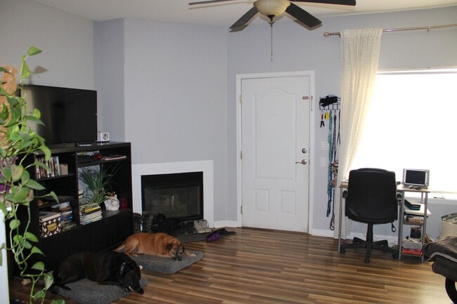 Building Photo - Beautiful 1 Bedroom Condo in Arvada.