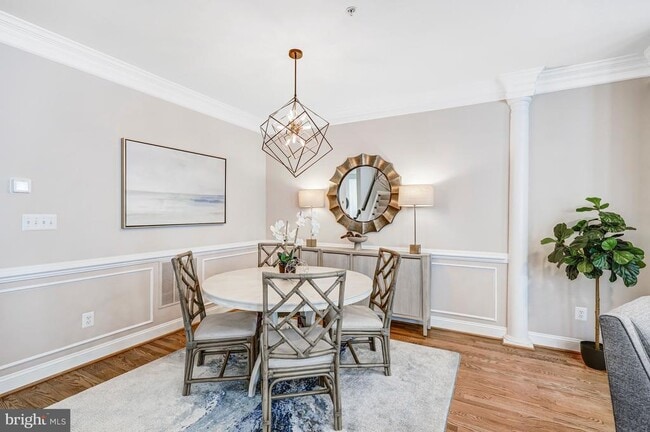 Building Photo - 17 Alexander St