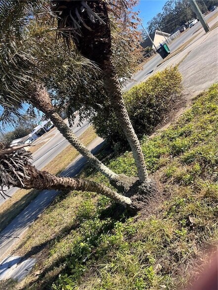 Building Photo - 1824 N Hiawassee Rd