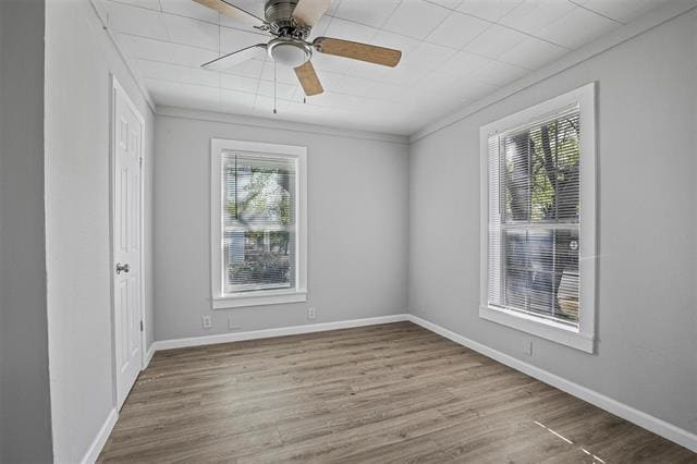 Building Photo - 531 E Morton St