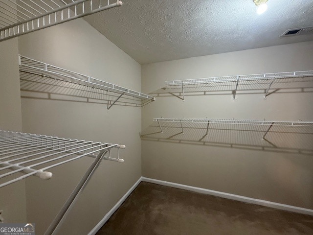 Building Photo - 509 Bruin Ct