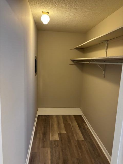 Building Photo - 25 Althea Cir