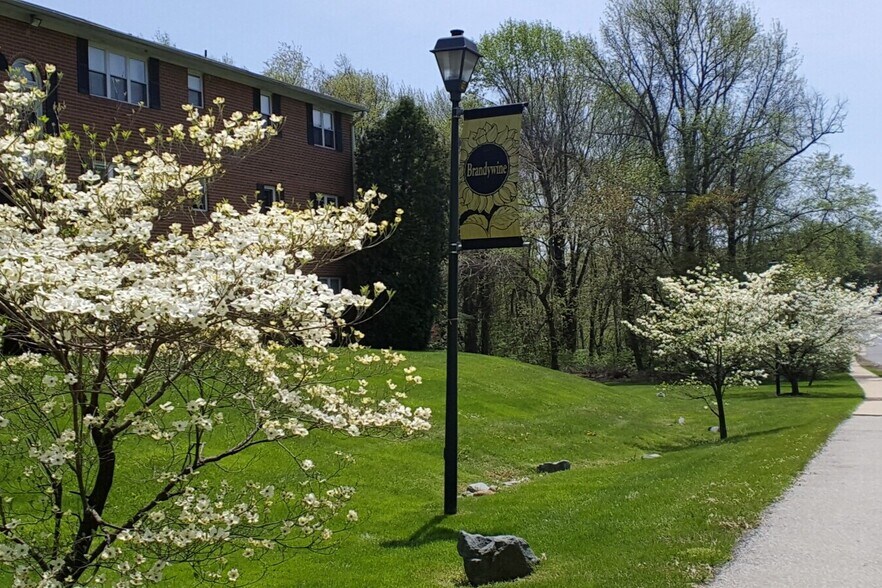 Primary Photo - Brandywine Apartments