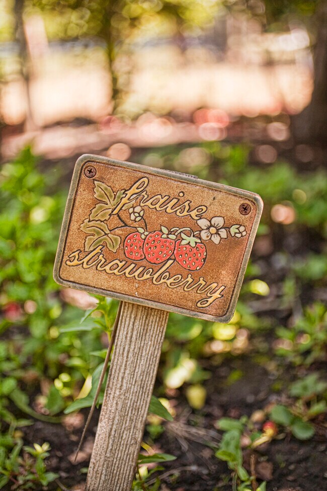 Building Photo - 430 Pratt Ave