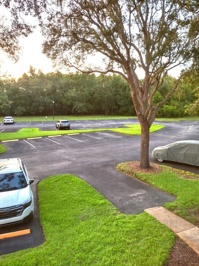 Building Photo - 12218 Fox Chase Dr