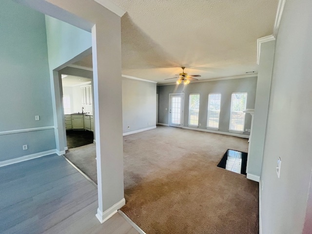 Building Photo - 2117 Elderberry Dr