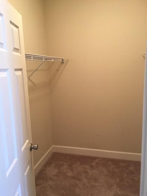 Building Photo - 503 Arbor Lake Dr