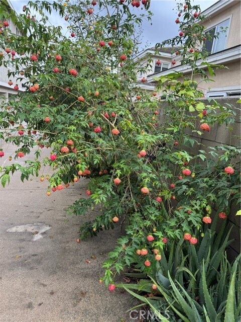 Building Photo - 5704 Sultana Ave