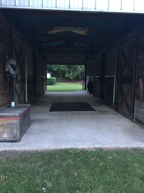 Building Photo - Horse property in St. Johns County