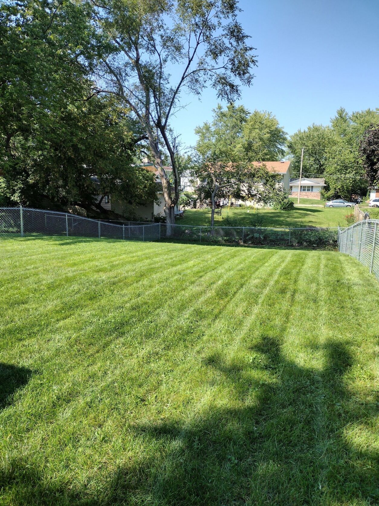 Private Back Yard - 5907 New York Ave