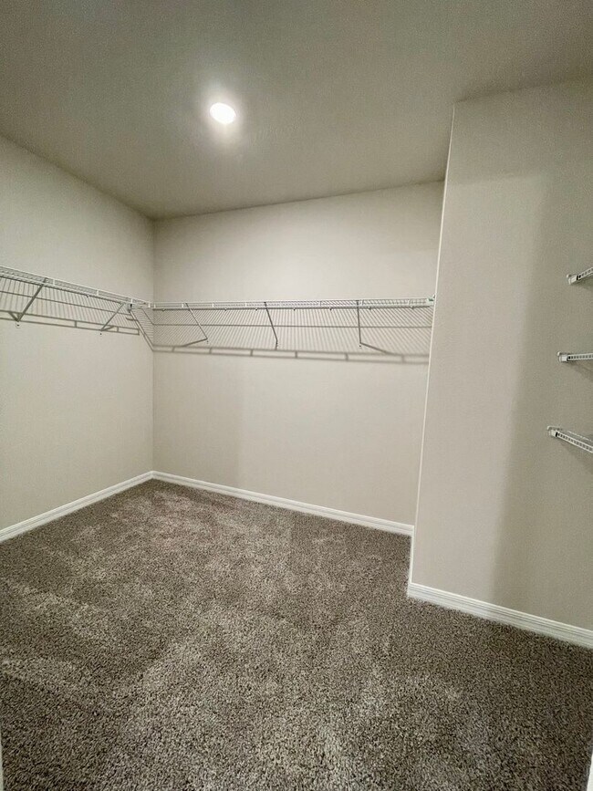 Building Photo - Available NOW! VERY well maintained 4/2 in Monroe Meadows / Wesley Chapel!