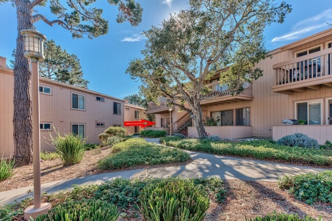 Building Photo - Ground Floor Condo at Footprints on the Bay