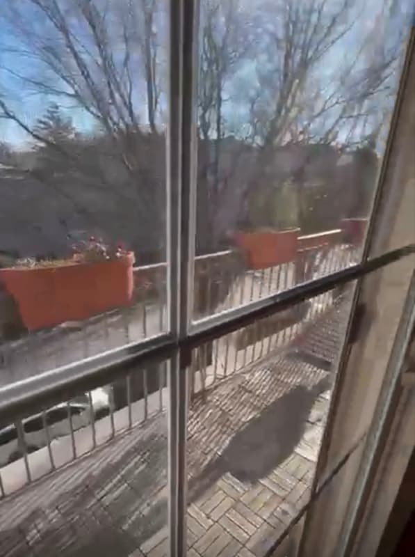 Building Photo - 20-10 Steinway St