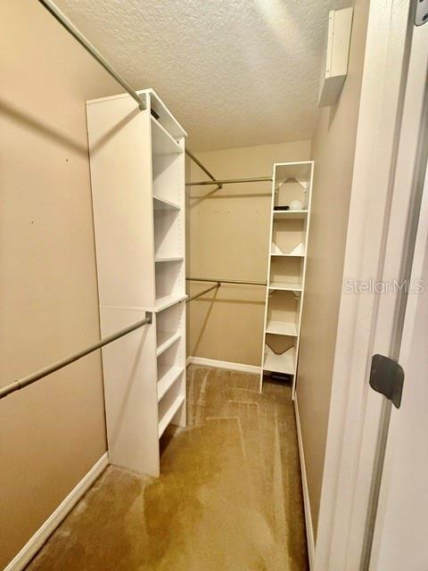 Building Photo - 1213 Bexley Ct