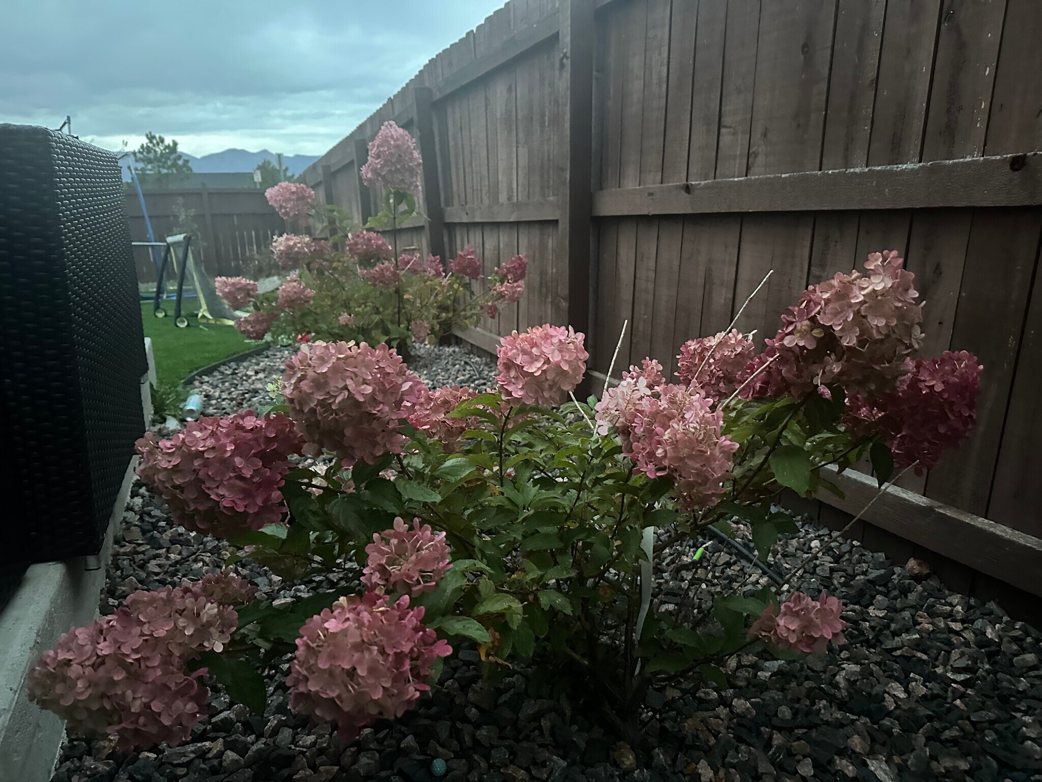 Building Photo - 11020 Echo Canyon Dr