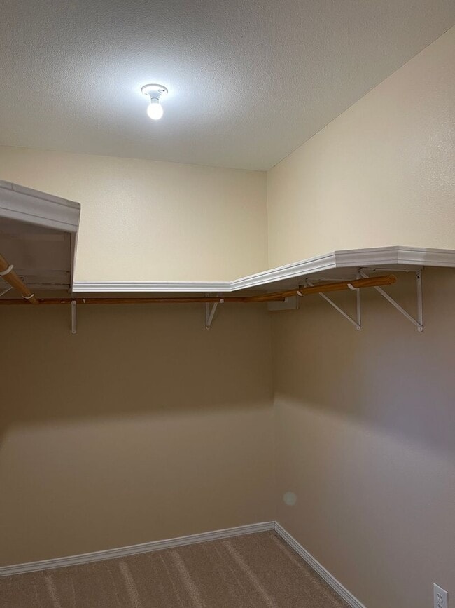 Building Photo - Available November 21st!   6 Month lease