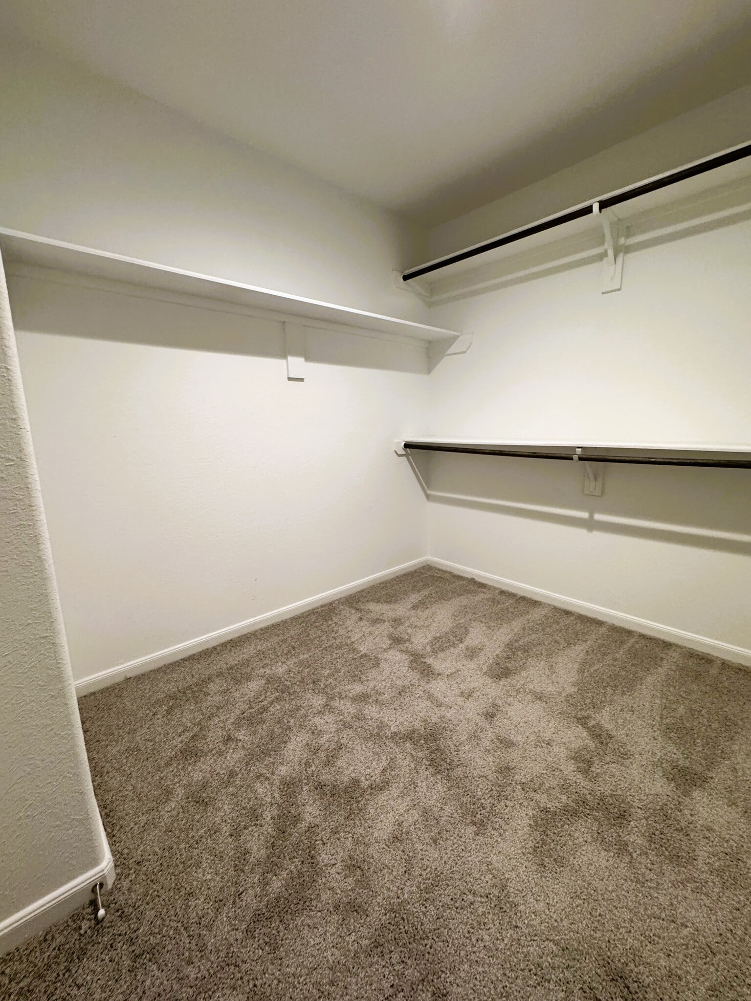 Building Photo - 615 Calm Ct