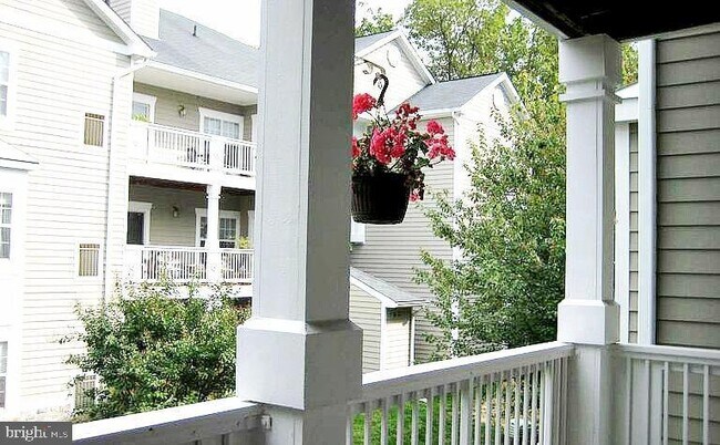 Building Photo - 1701 Lake Shore Crest Dr