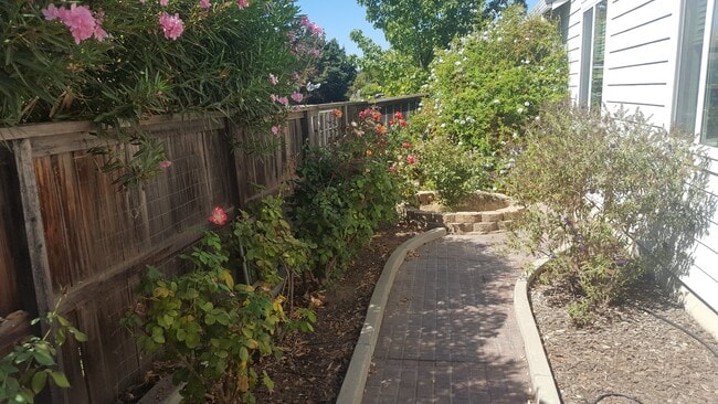 Building Photo - 4 Bedroom Home