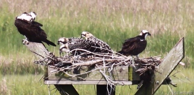 Building Photo - 3100 Dune Dr