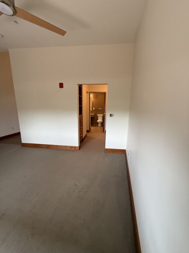 Building Photo - Luxury Apartment