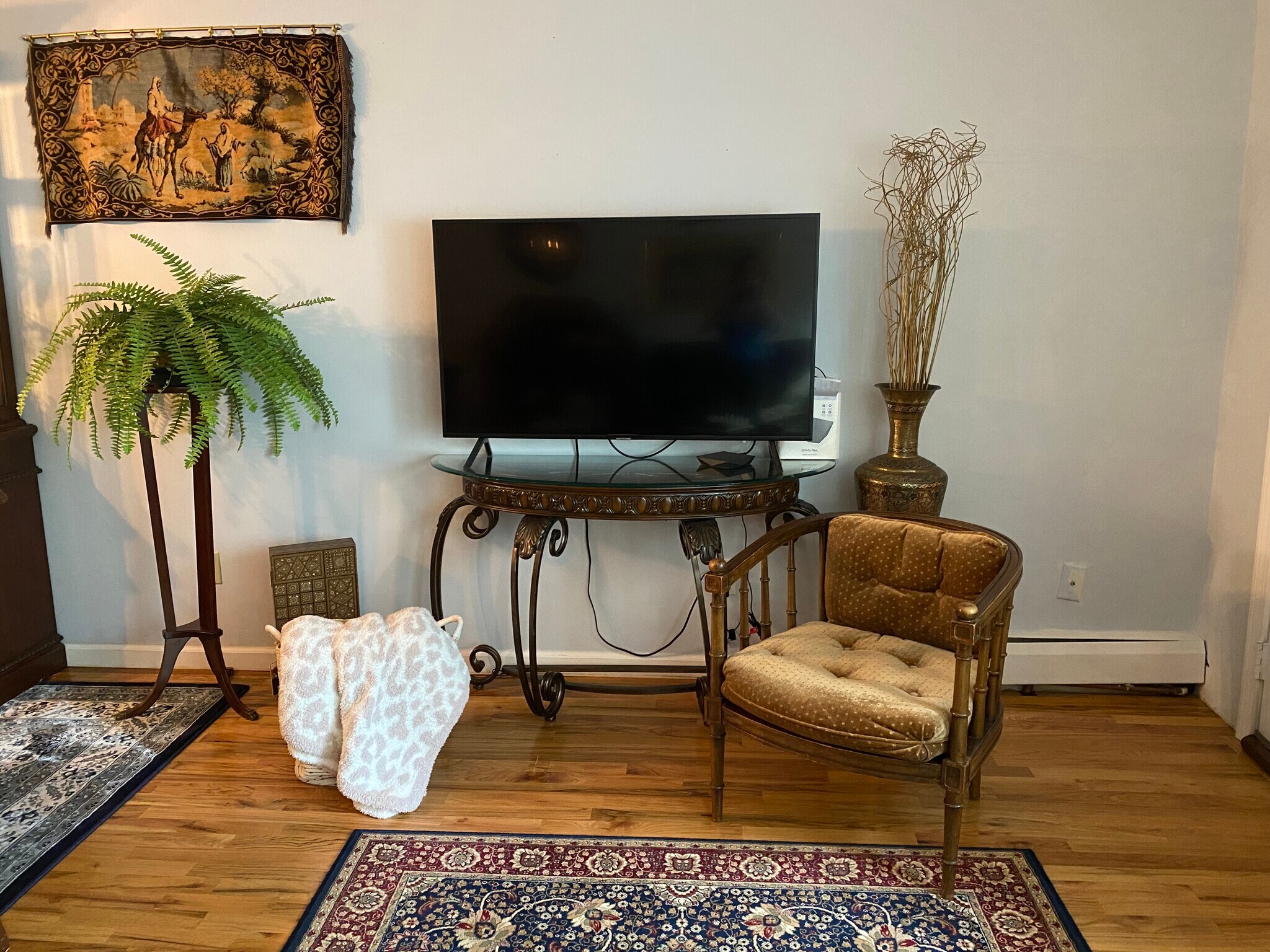 Living Room 60" Smart TV - 4 Staunton Ct