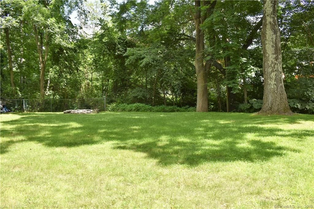 Yard 2 - 382 Riverside Dr