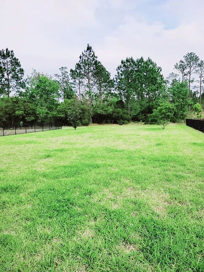 Building Photo - Spacious 4-Bedroom Home in Amelia Walk wit...