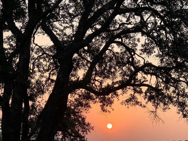 Building Photo - 2012 Centerline Ln