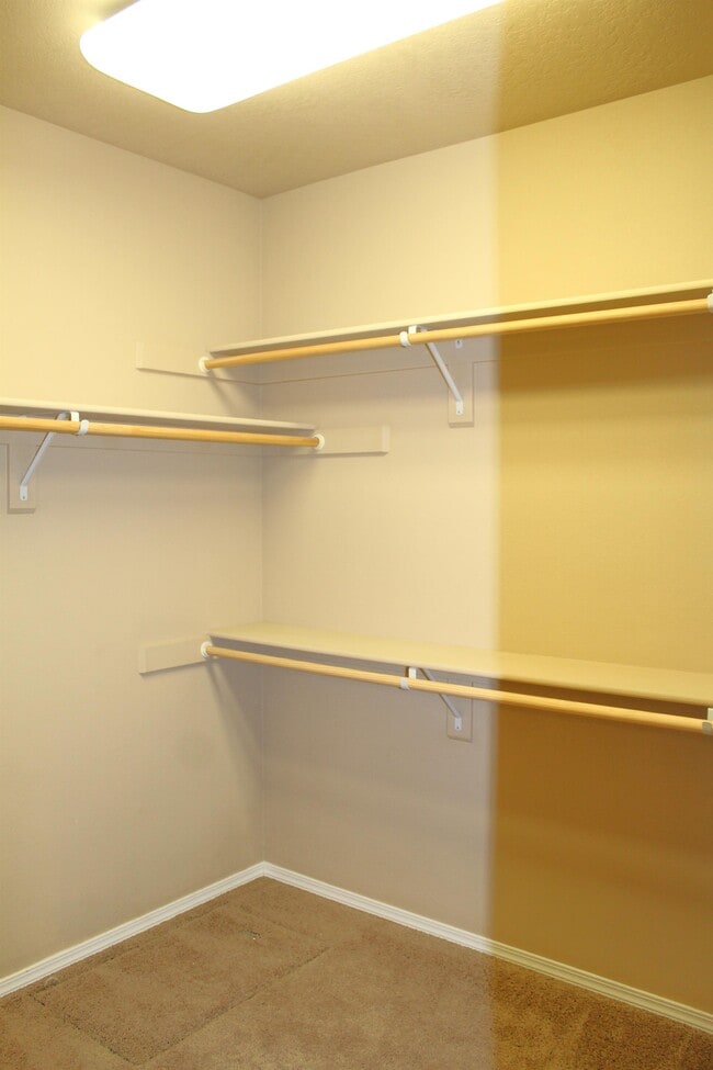 Building Photo - 2244 Kingswood Dr