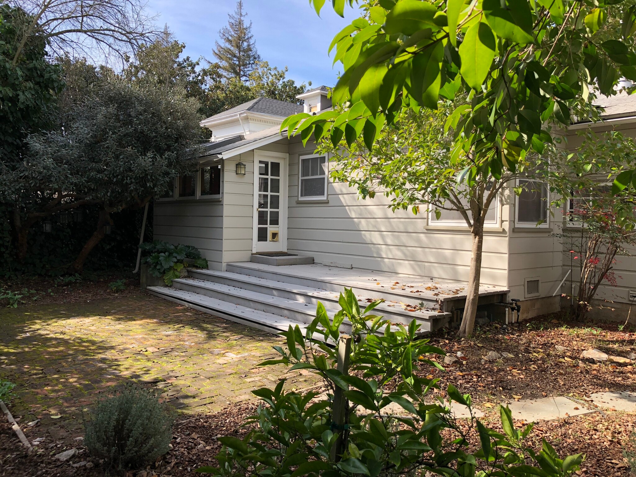 Back of House - 820 Palo Alto Ave