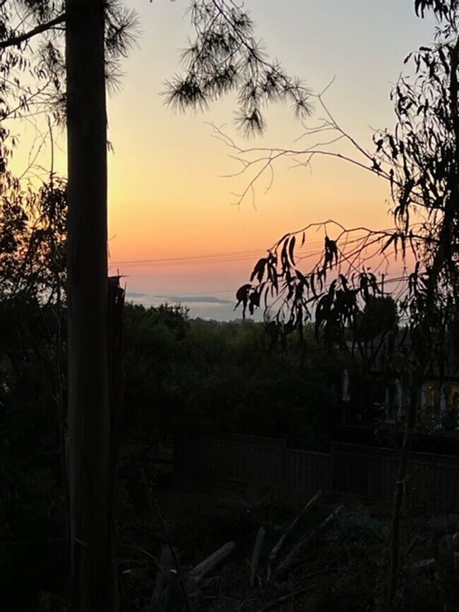 Building Photo - Spacious 4 Bedroom Home in San Mateo Hills with Dual Primary Suites