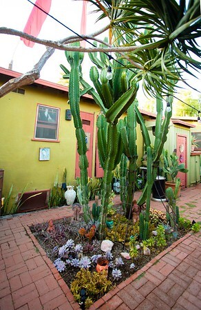 cactus garden - 712 5th Ave