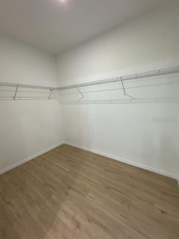 Building Photo - 3460 Tupelo Ave