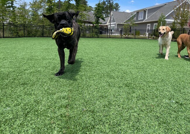 Building Photo - Cardinal | 4 Bed 2.5 Bath | Garage | 1895 sf | $2930-$3370 | 6, 7, 8, 9, 11, 12, 13, 14, 15 and 1...