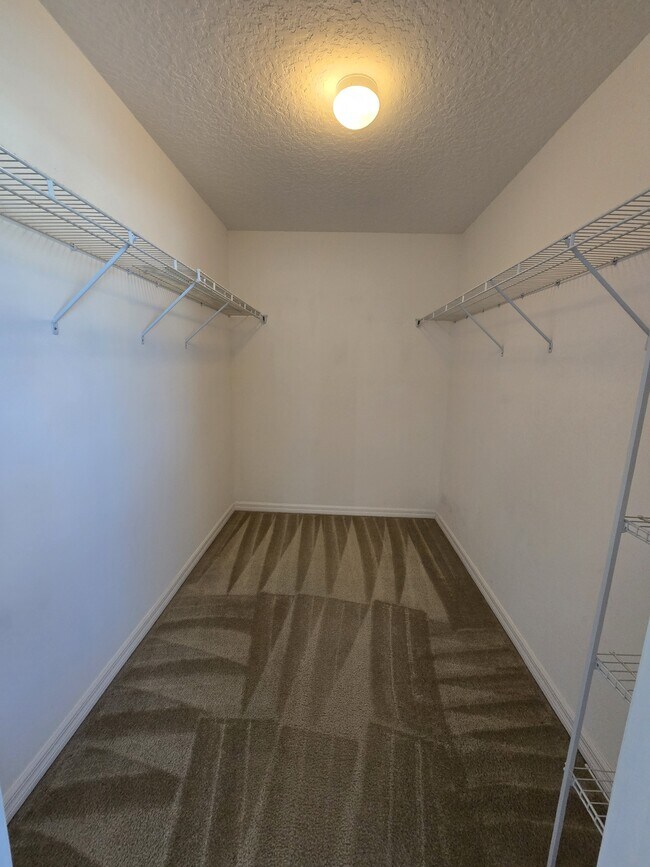 Building Photo - 127 Cedar Cir Dr