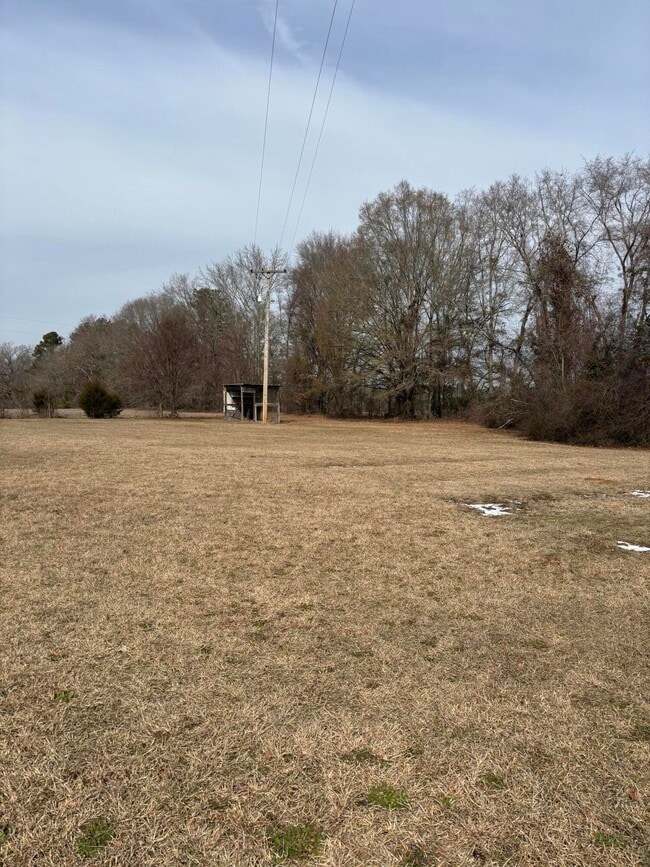 Building Photo - 6115 Dinkins Mill Rd