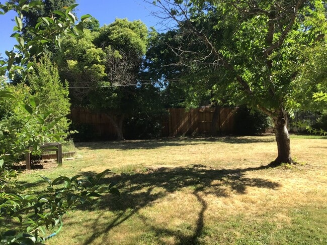 Building Photo - Three bedroom home in Fair Oaks