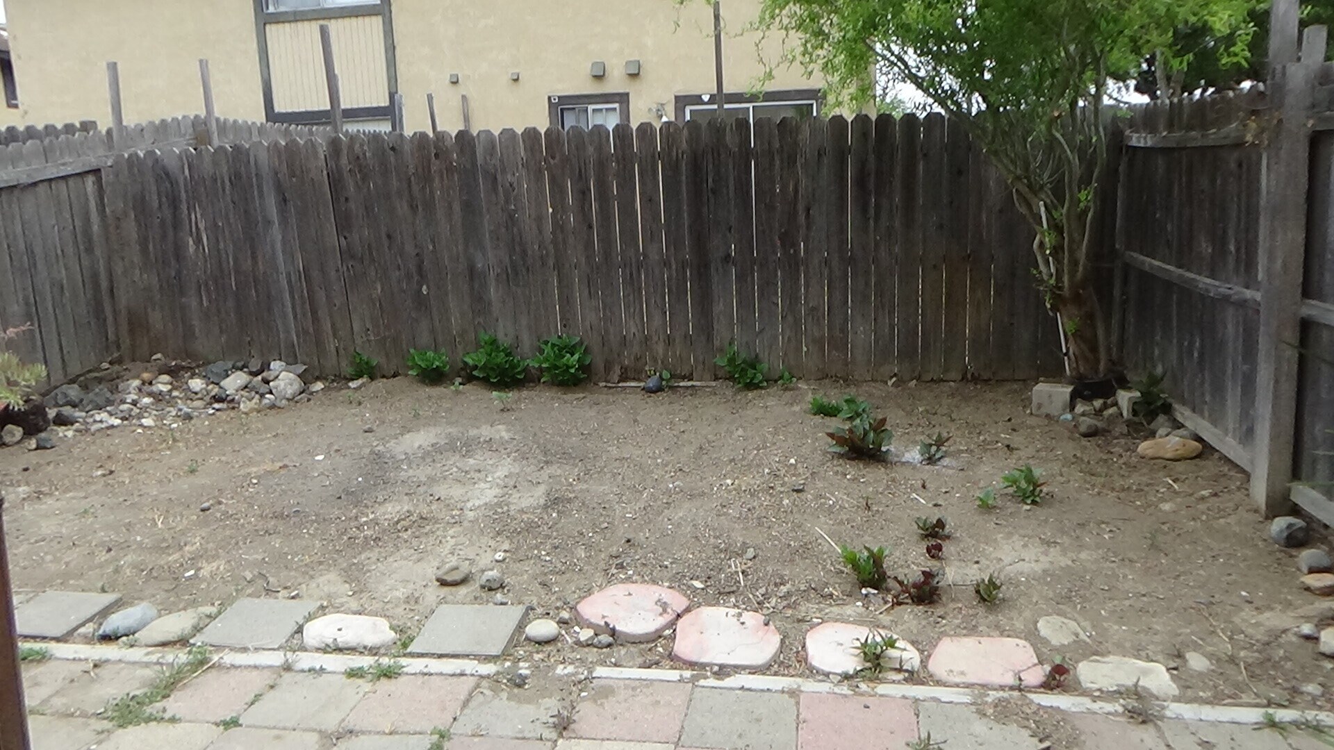 Backyard - 1117 Seabreeze Way