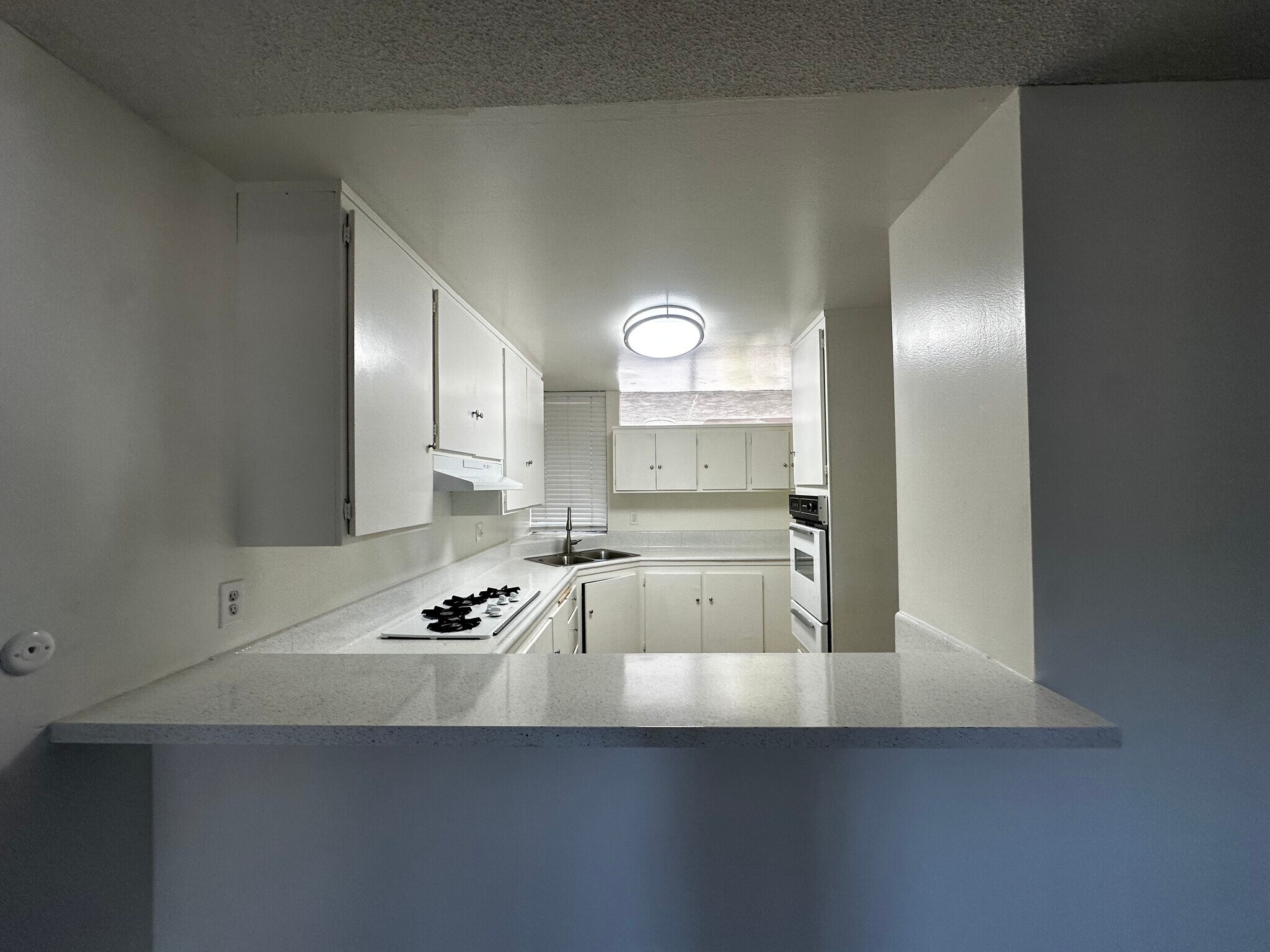 Building Photo - 1590 W Palm Ln