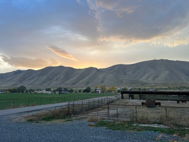 Building Photo - 7984 S 5600 W St