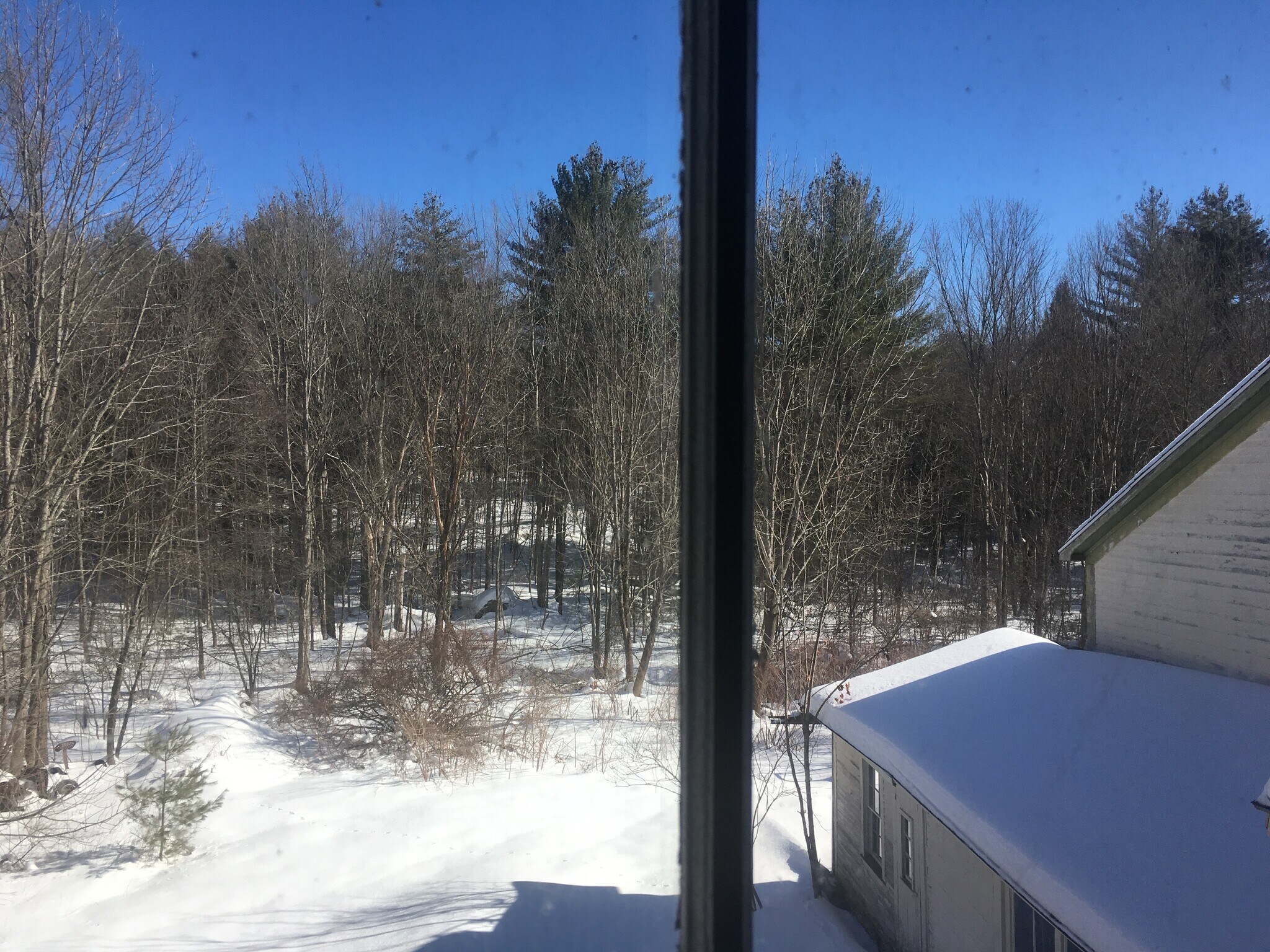 Bathroom view - 468 Union St