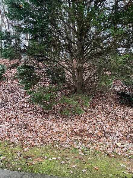 Building Photo - 5307 Strasburg Dr