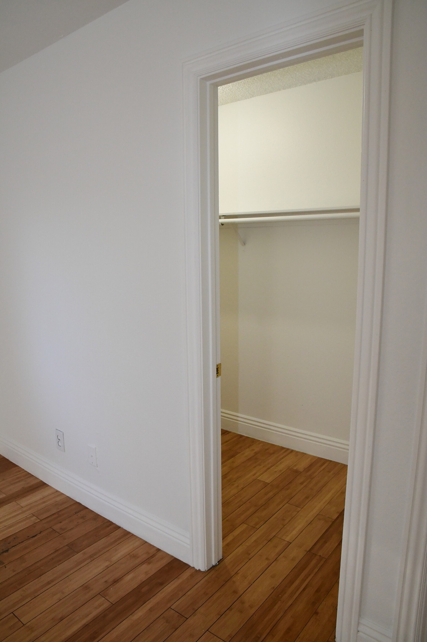 Building Photo - 925 Willow Tree Dr