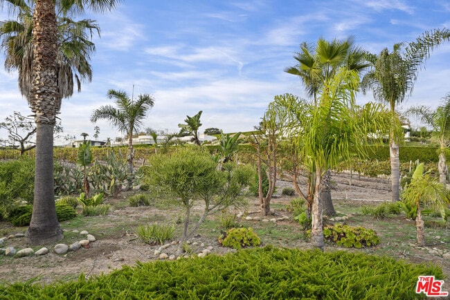 Building Photo - 29637 Pacific Coast Hwy