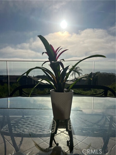 Building Photo - 34 Blue Lagoon