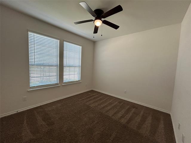 Building Photo - 3412 Brazos Dr